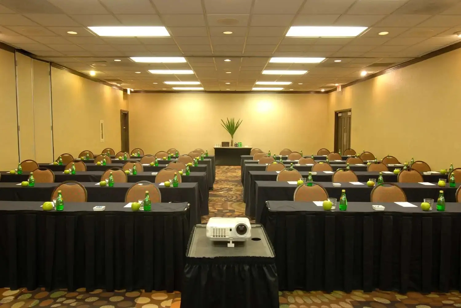 Photo - Embassy Suites by Hilton Dallas-Love Field
