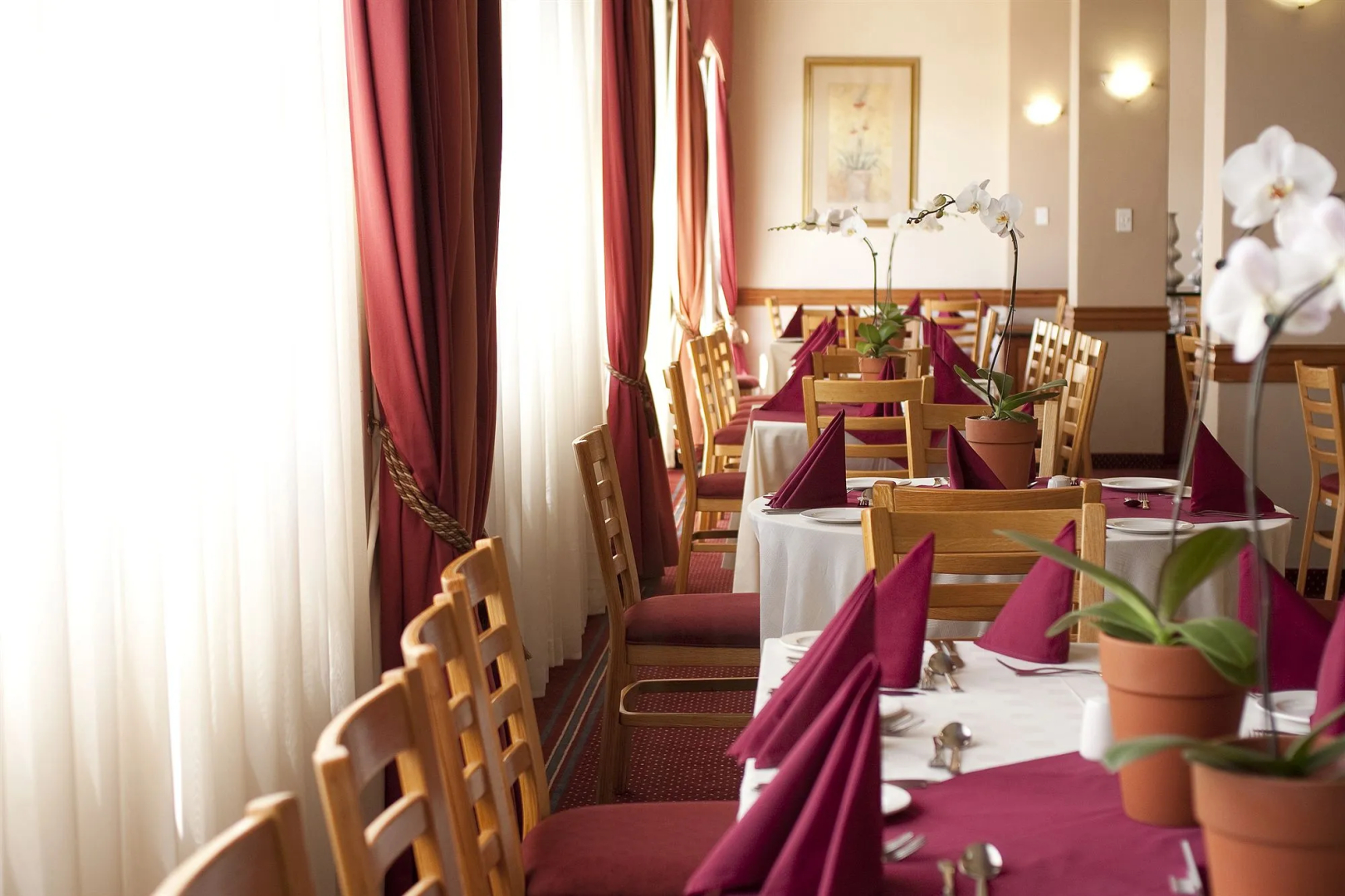 Photo - Apollo Hotel