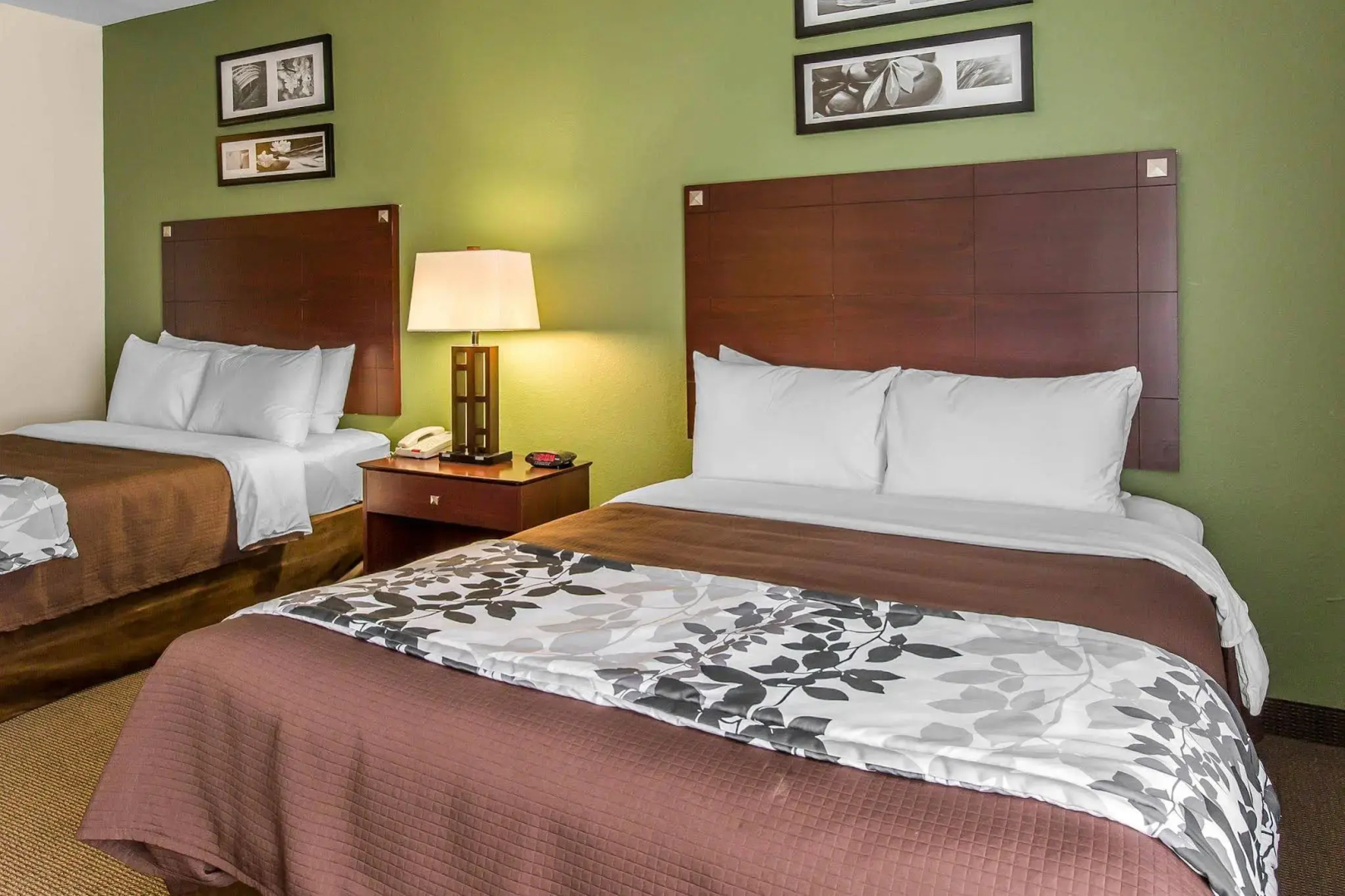 Foto - Sleep Inn & Suites Bush Intercontinental - IAH East