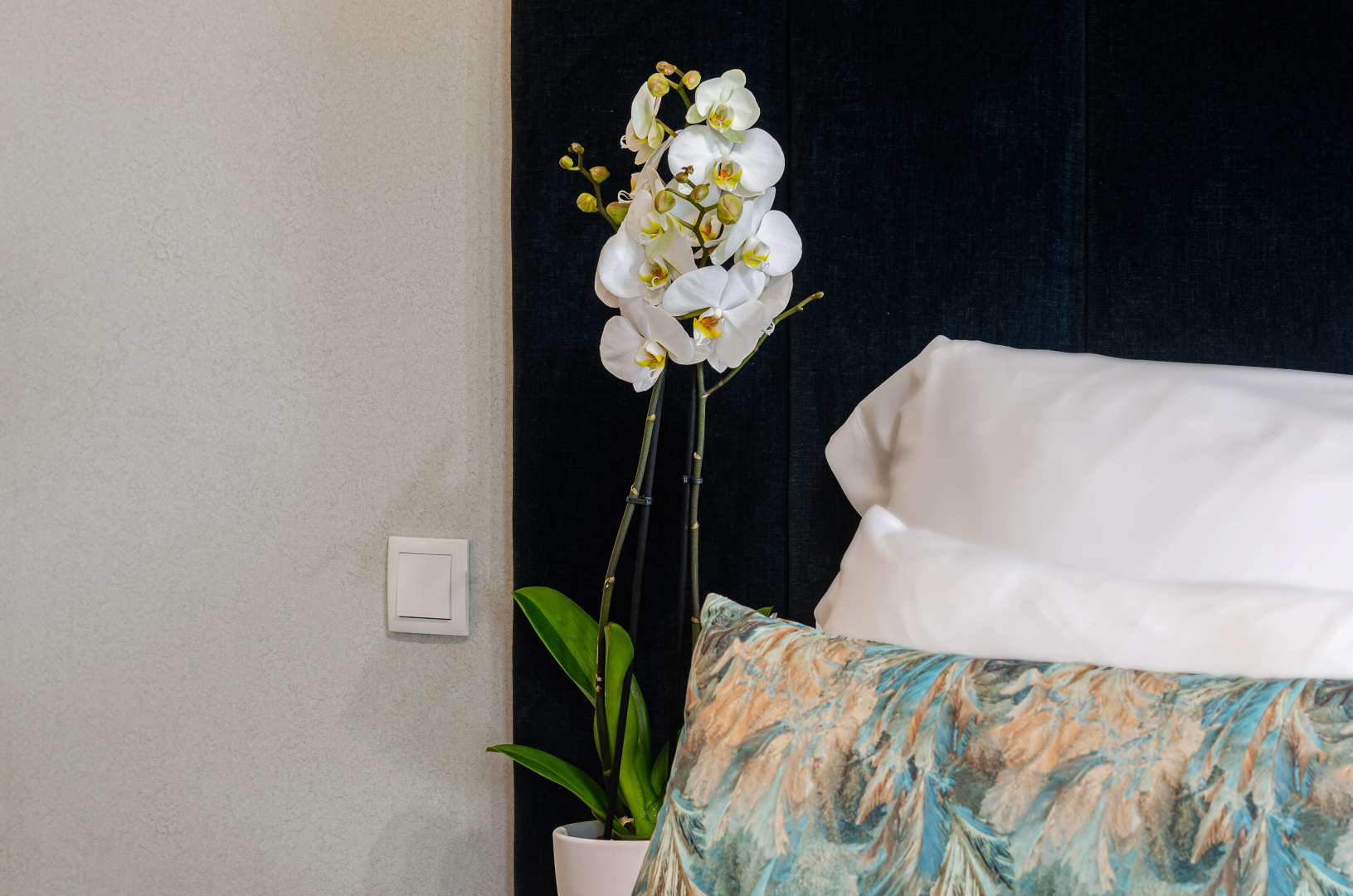 Foto - Hotel DAH - Dom Afonso Henriques