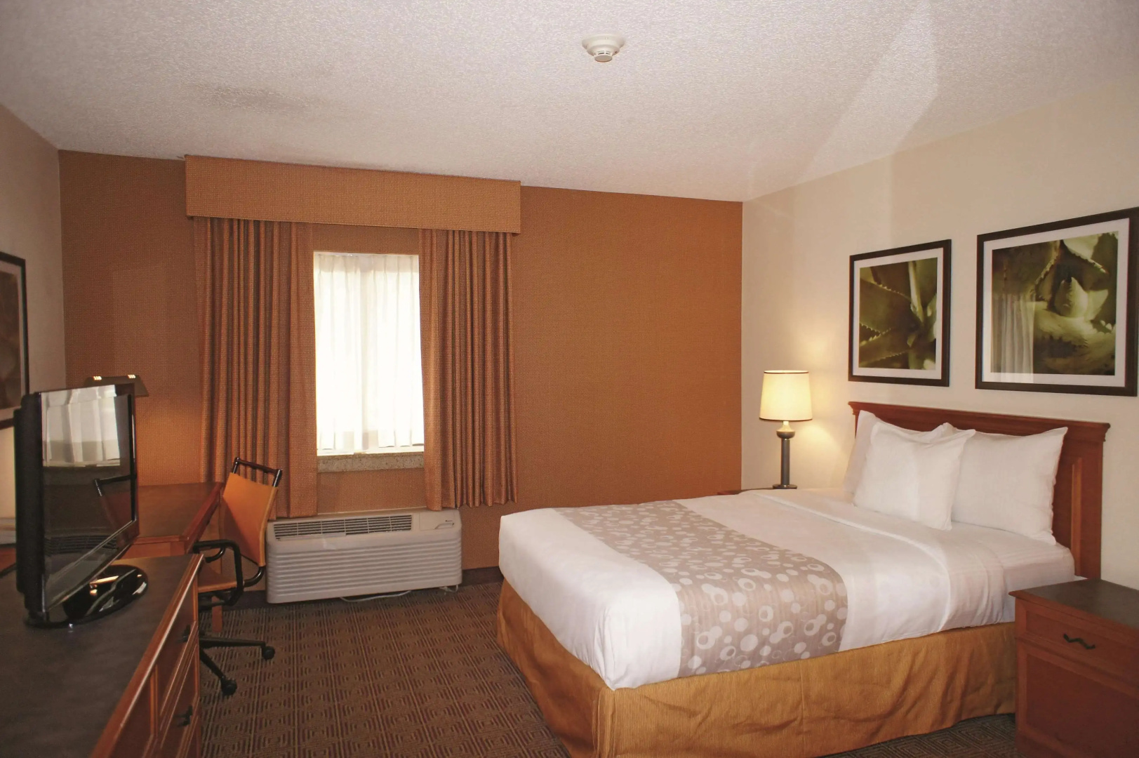 Foto - La Quinta Inn & Suites by Wyndham Tampa Brandon West
