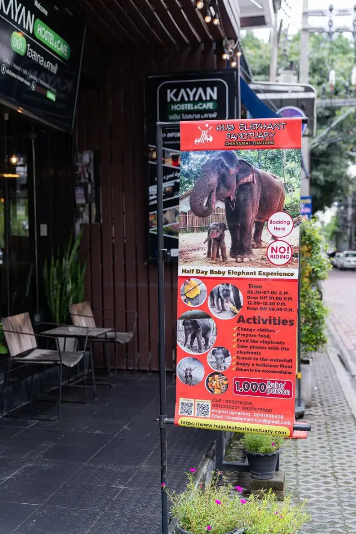 Foto - KAYAN Hostel