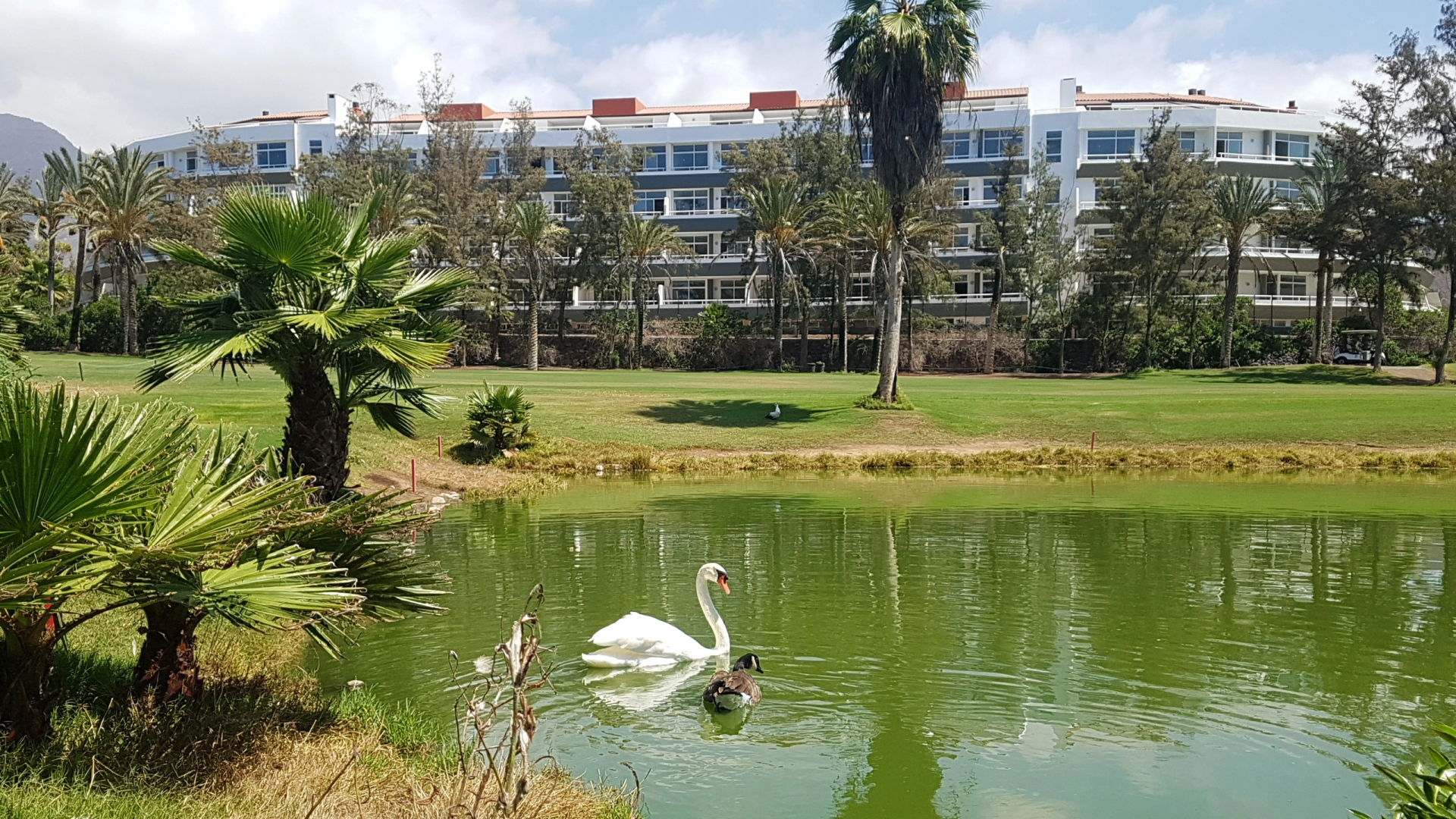 Photo - Gara Suites Golf & Spa