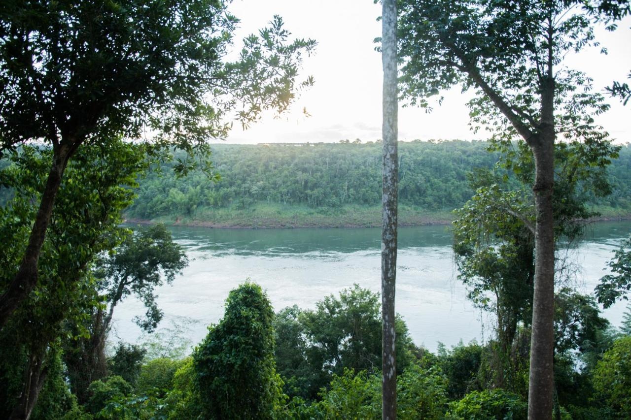 Foto - Tupa Lodge selva y río