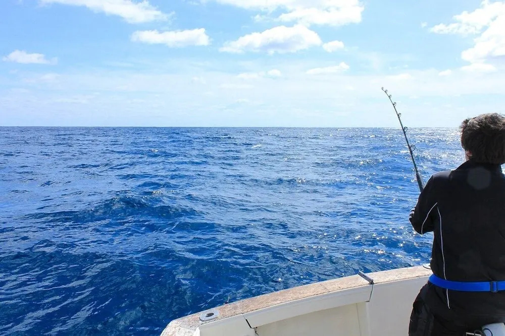 Foto - South Point Villas Cerf Island