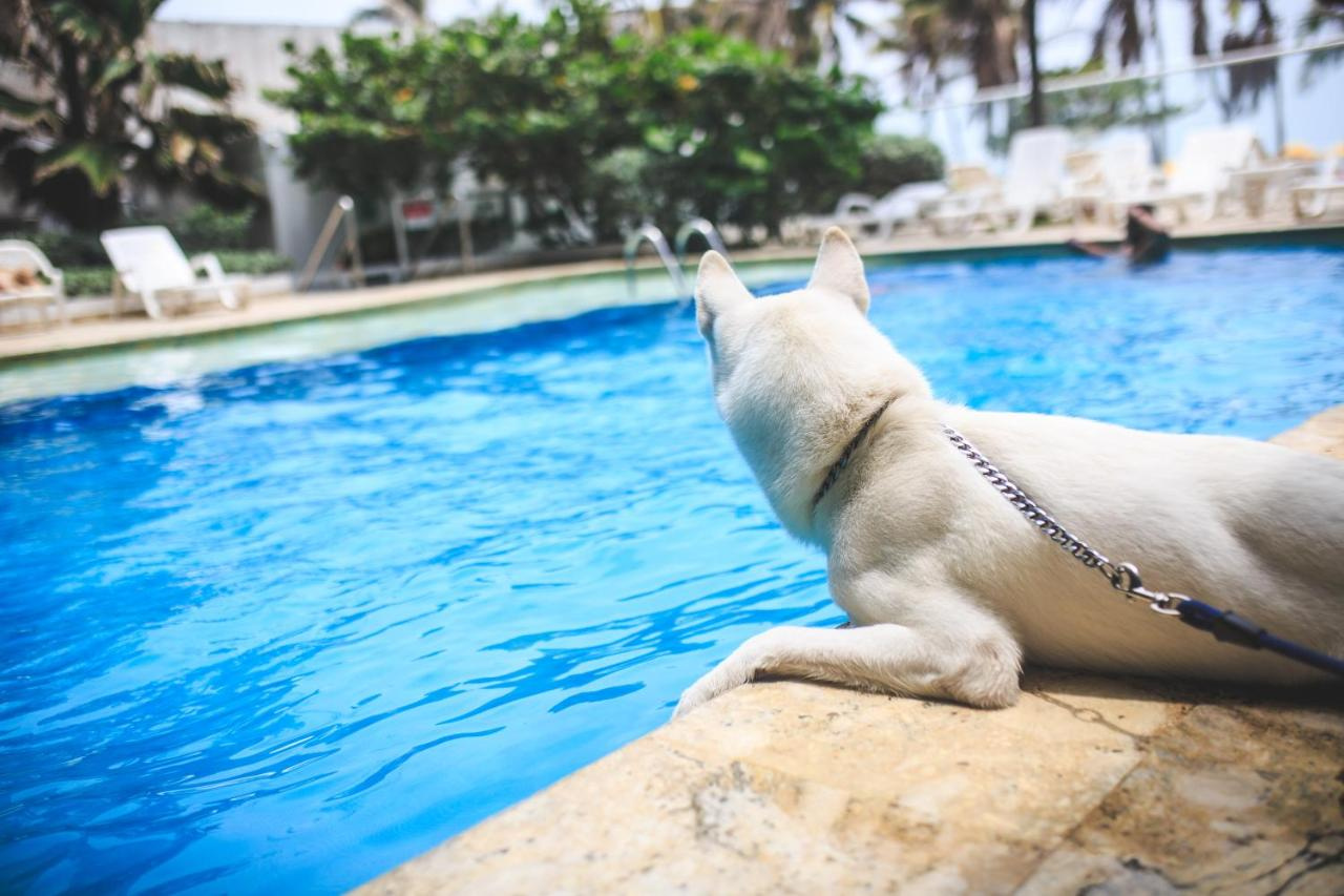 Photo - Hotel Playa Club