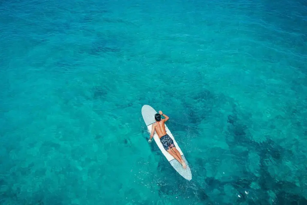 Foto - Lotus Honolulu at Diamond Head