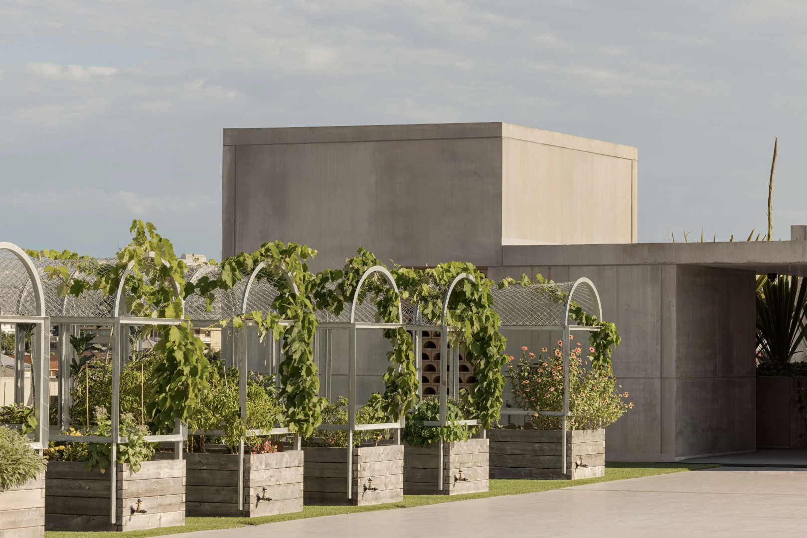 Foto - The Calile Hotel