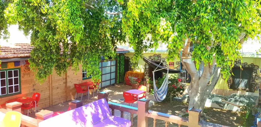 Photo - Hostel Los Duendes del Sur