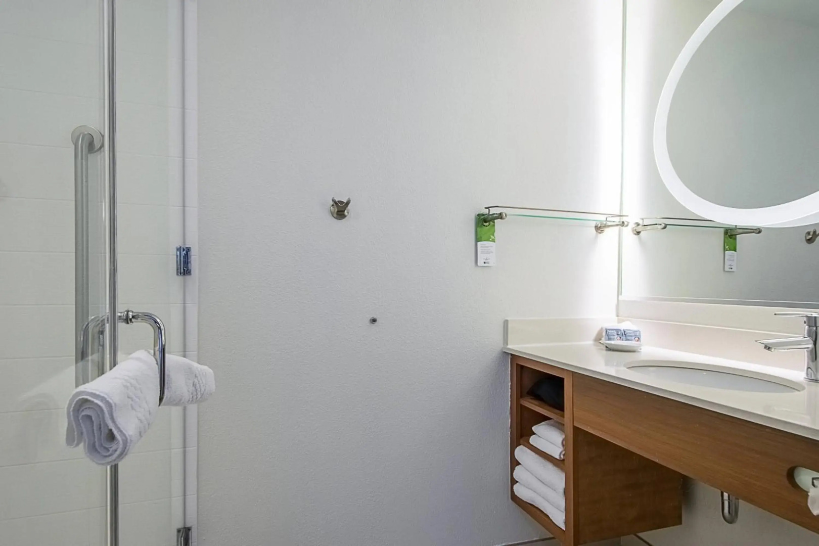 Photo - SpringHill Suites Tampa North/Tampa Palms