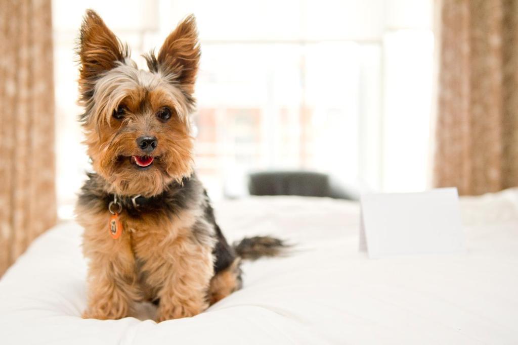 Foto - Hope Street Hotel