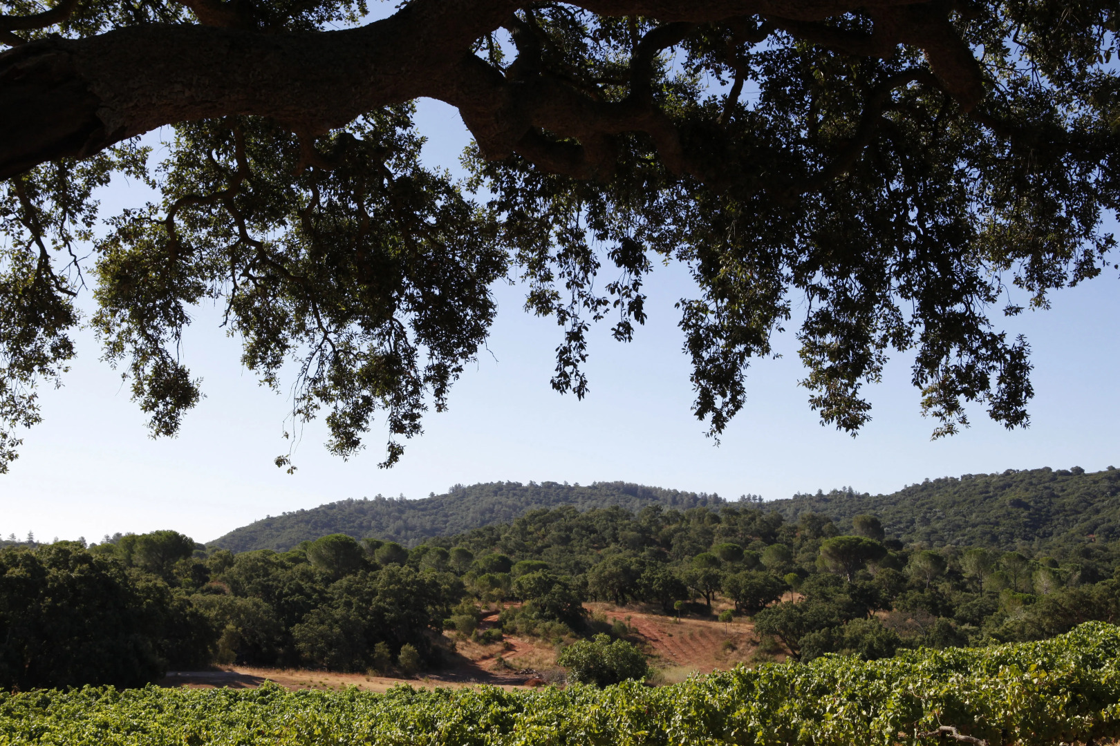 Foto - Hotel Casa Palmela - Small Luxury Hotels of The World, Hotel & Villas