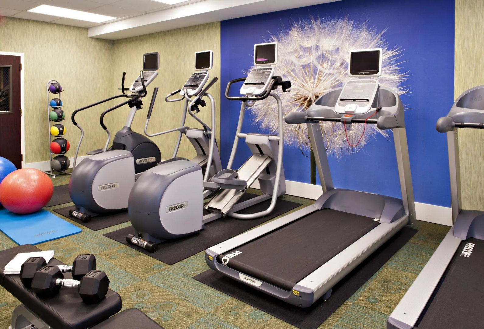 Photo - SpringHill Suites Scottsdale North