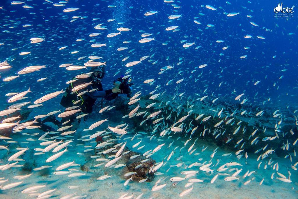 Foto - Dunas Club - Hotel & Apartamentos