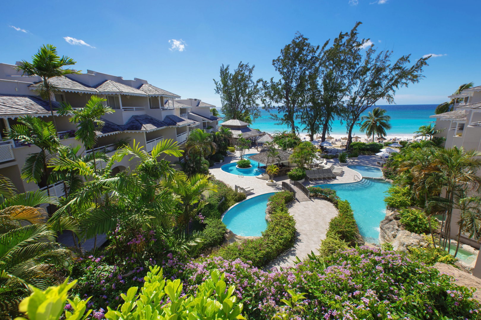 Foto - Bougainvillea Barbados