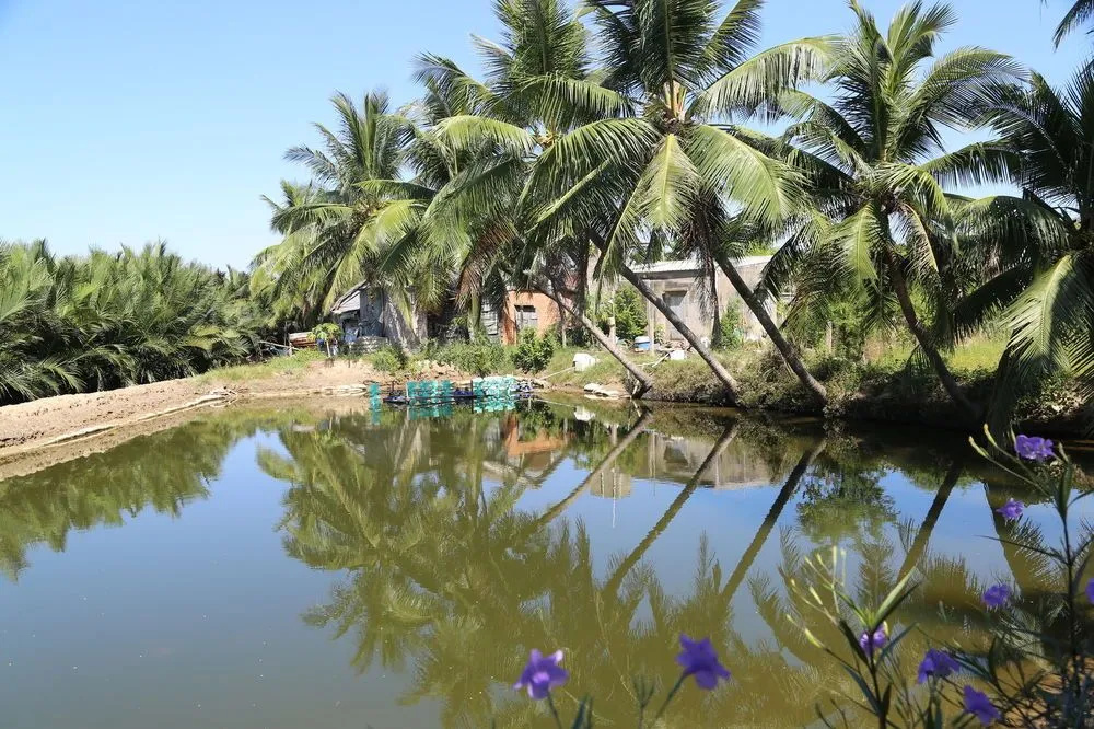 Photo - Lakeview Villa Homestay