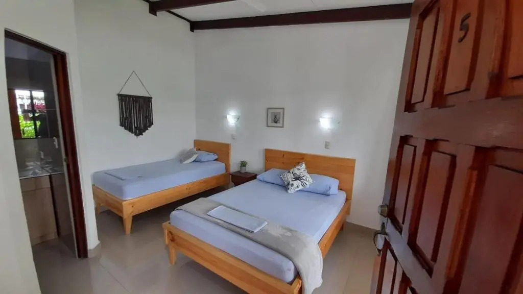 Photo - Wide Mouth Frog Quepos