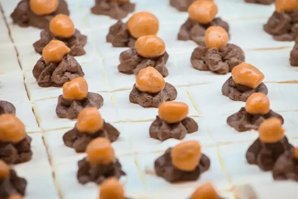 Foto - Delfinia Resort - All Inclusive