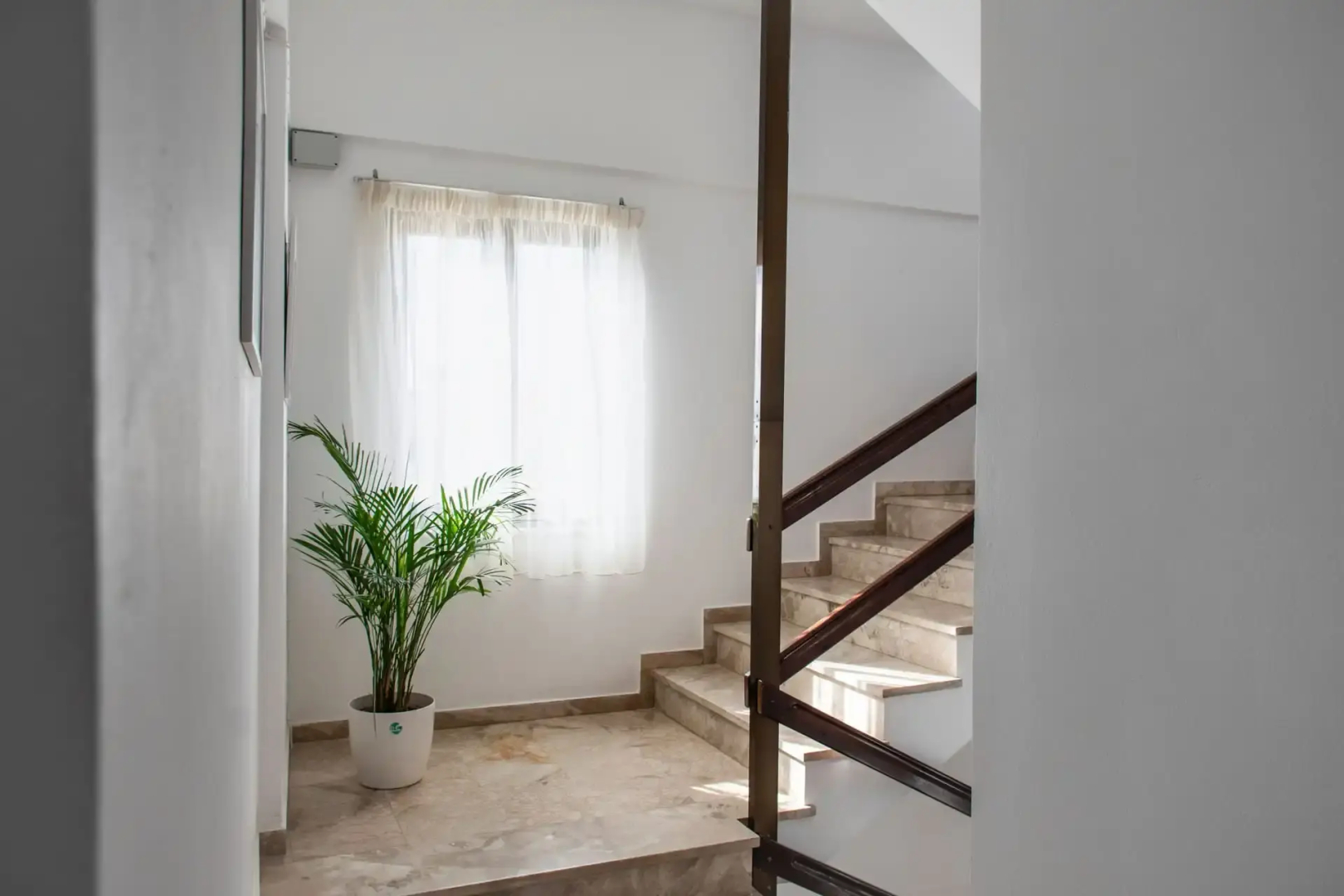 Foto - Argo Rooms-Papadakis