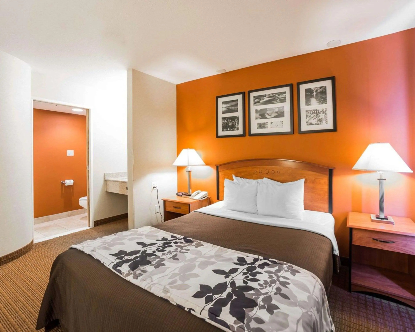 Foto - Sleep Inn South Jordan - Sandy
