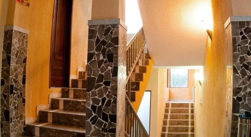 Foto - Guadalajara Express Tonala