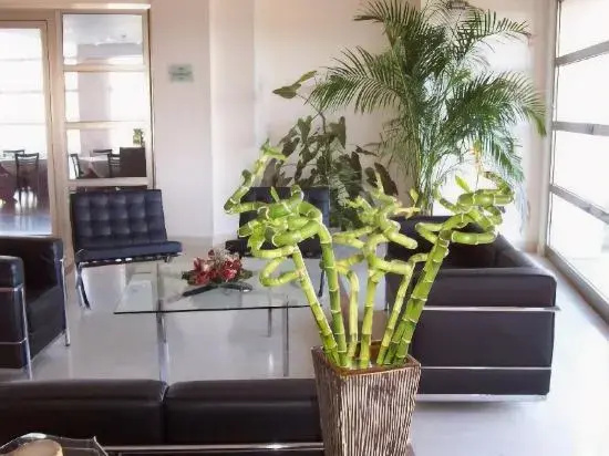 Photo - Albatros Hotel