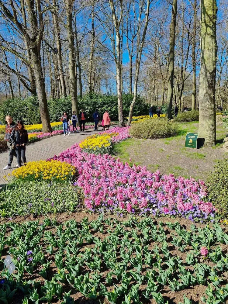Foto - Van der Valk Hotel Avifauna