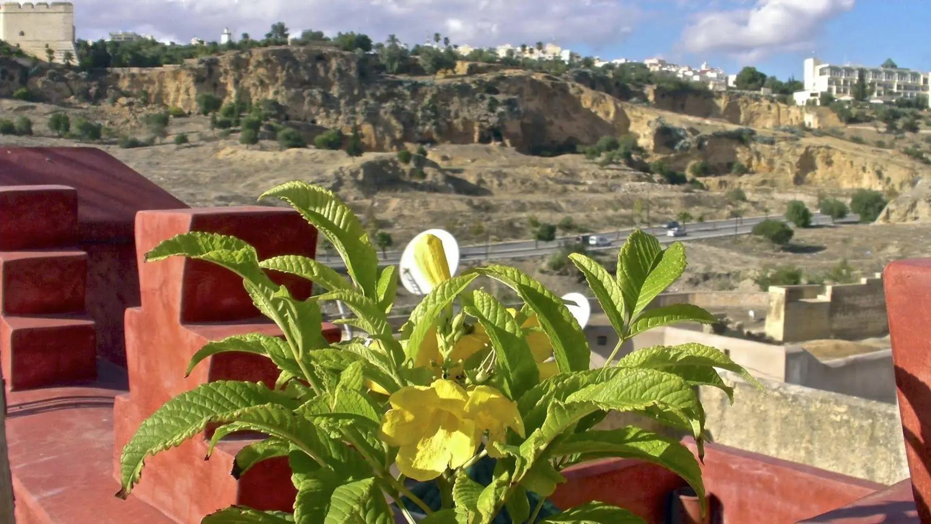 Foto - Riad Toyour- Riad of birds