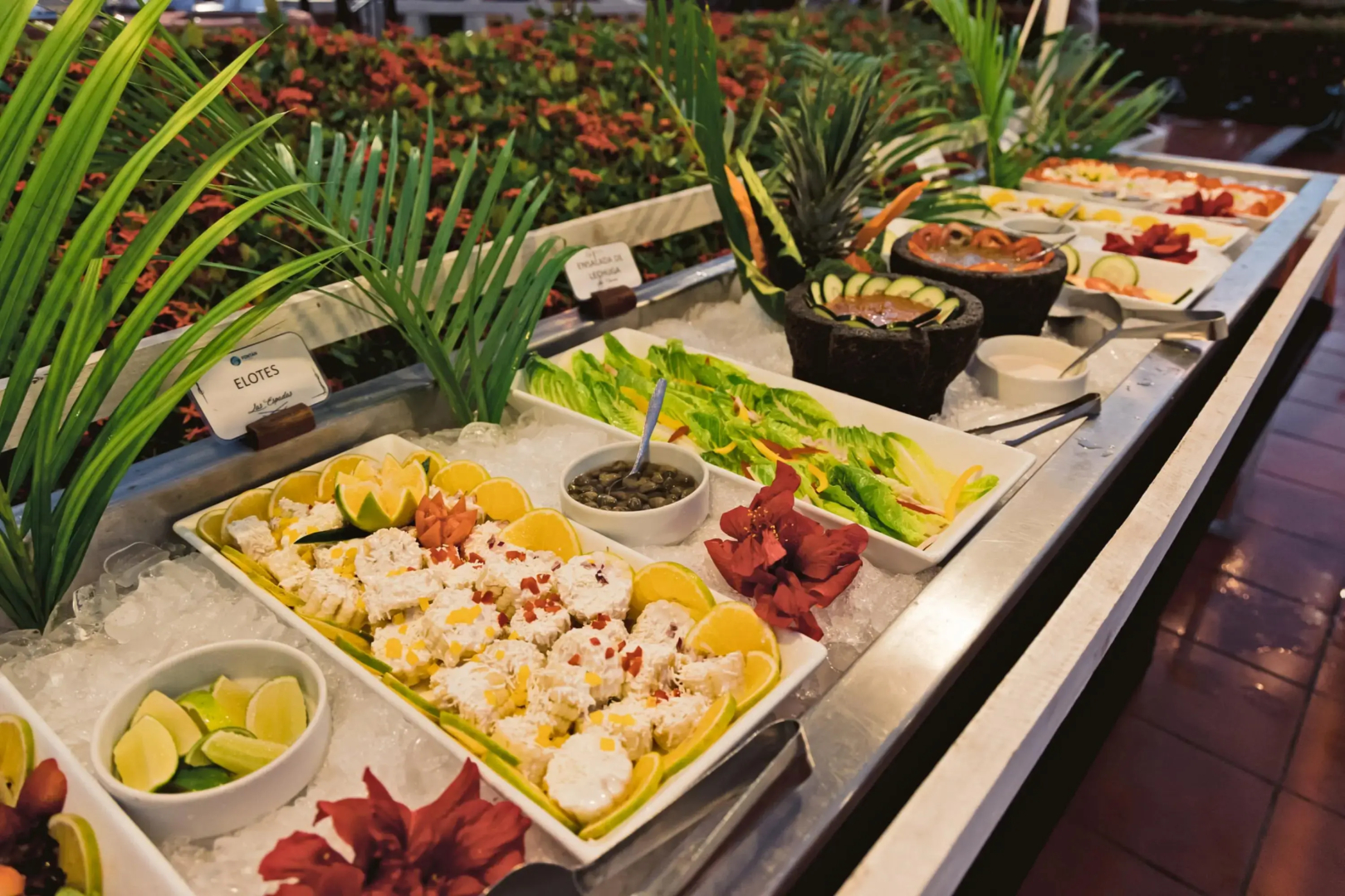 Foto - Fontan Ixtapa