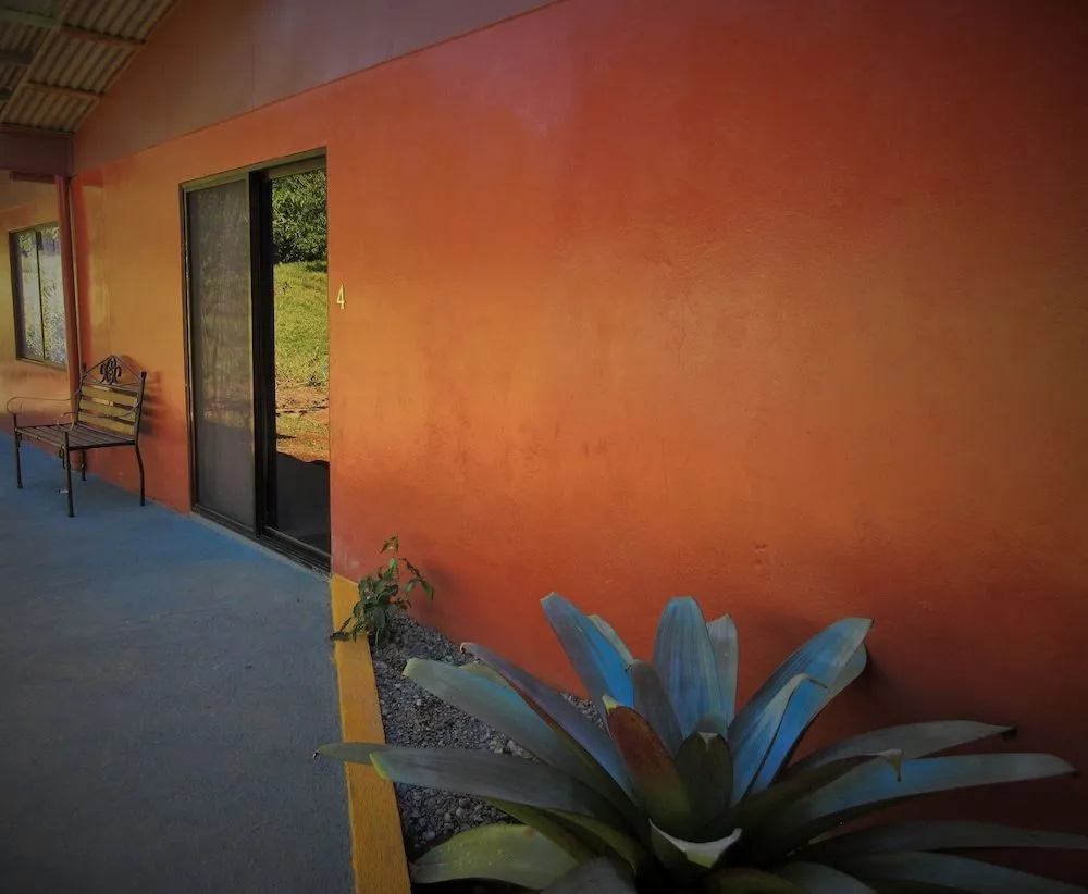 Foto - Nafre House