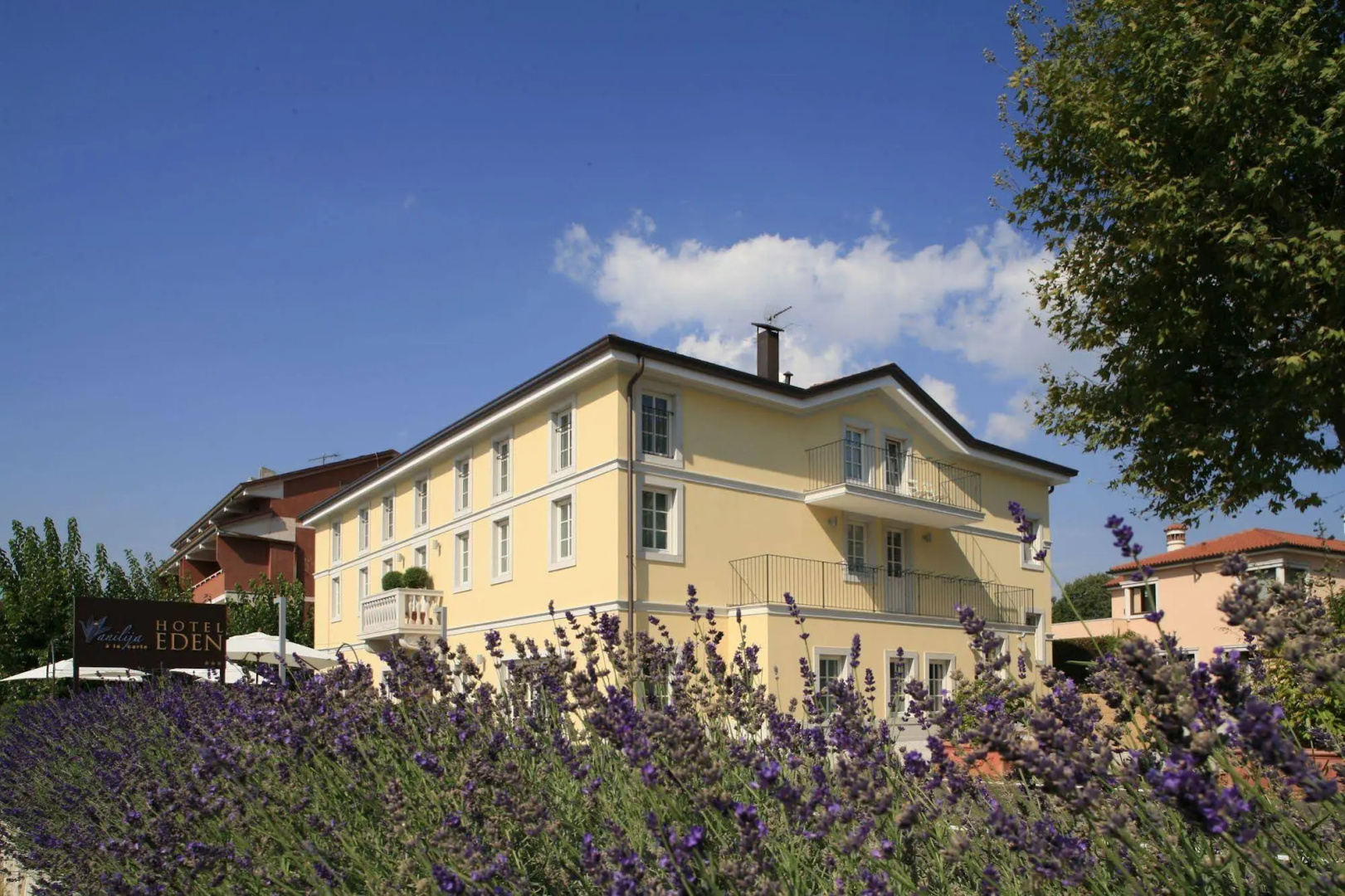 Foto - Hotel Eden