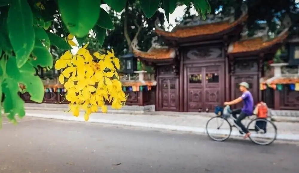 Foto - Label6 To Ngoc Van - Crescendo Boutique Studio