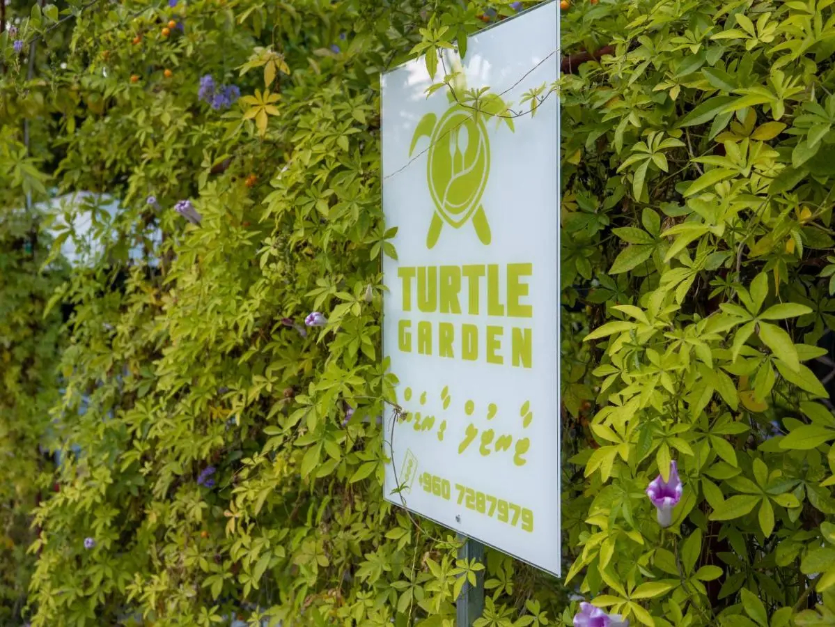 Photo - Turtle Maldives - Your Gateway to the Beach & Marine Adventures Await!