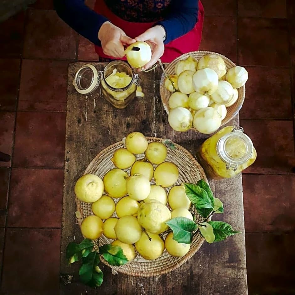 Foto - Cortis Antigas