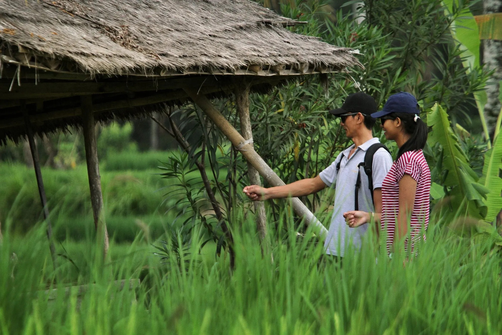 Photo - D'Legon Villas