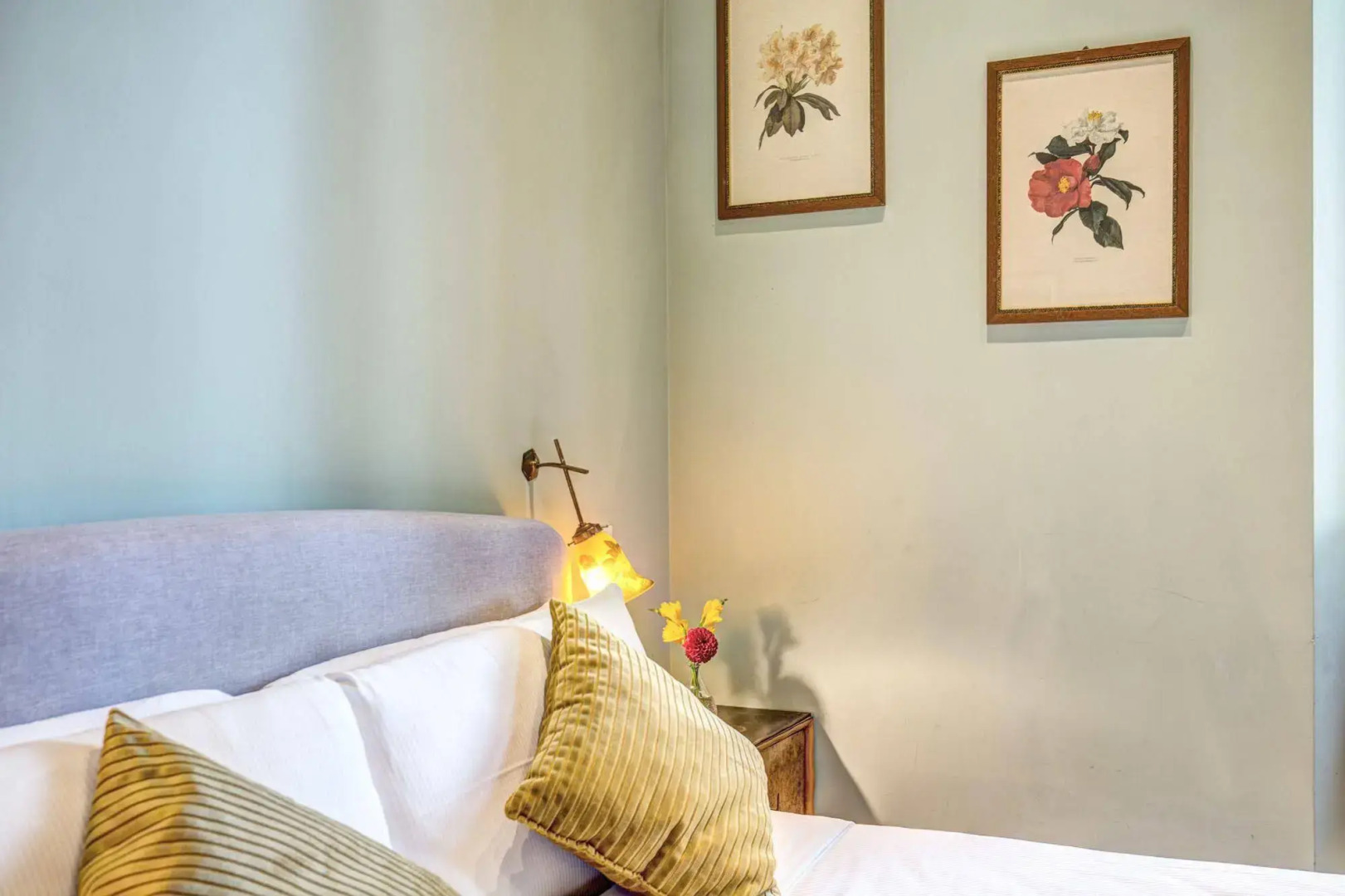 Photo - Tree Charme Trilussa