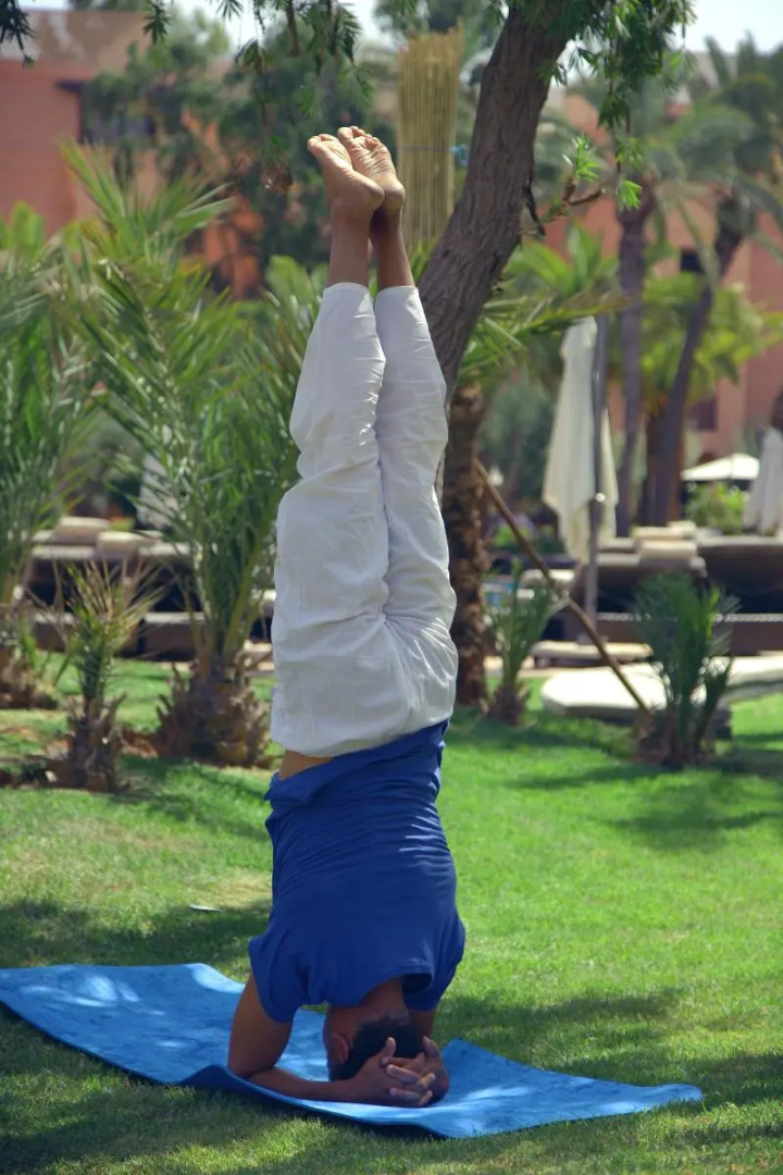 Foto - Les Jardins De Zyriab