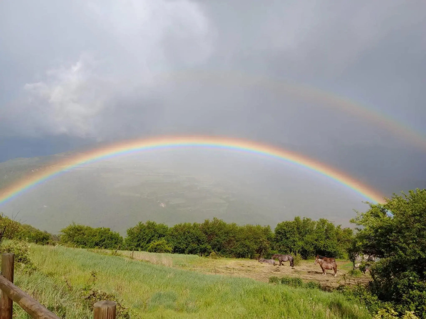 Foto - Hotel Terralta