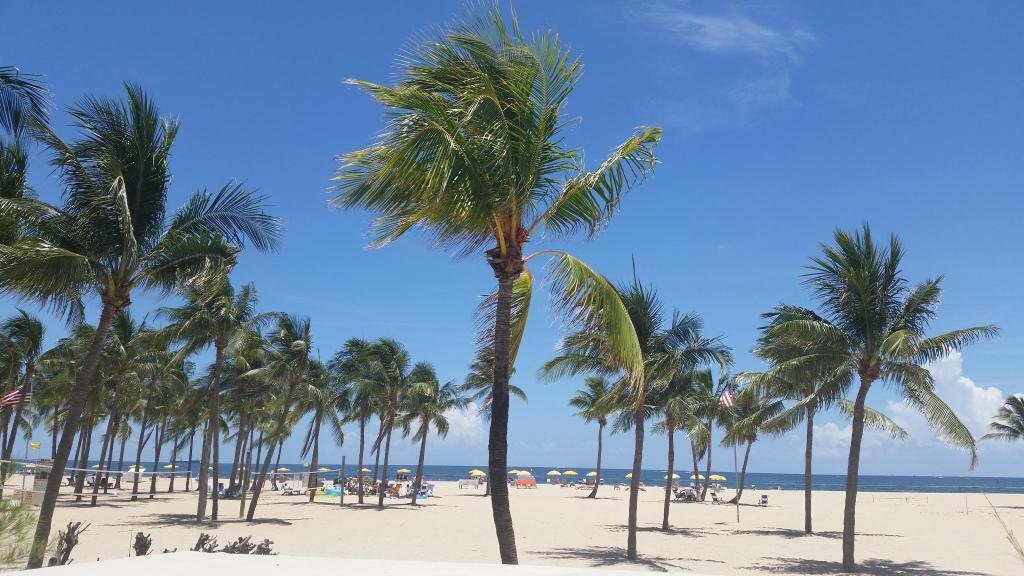 Foto - Hyatt Place Fort Lauderdale Cruise Port & Convention Center