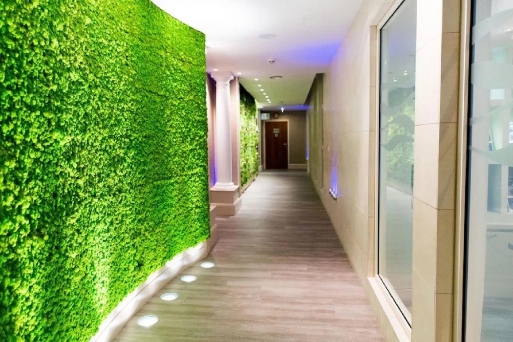 Foto - The Royal Yacht