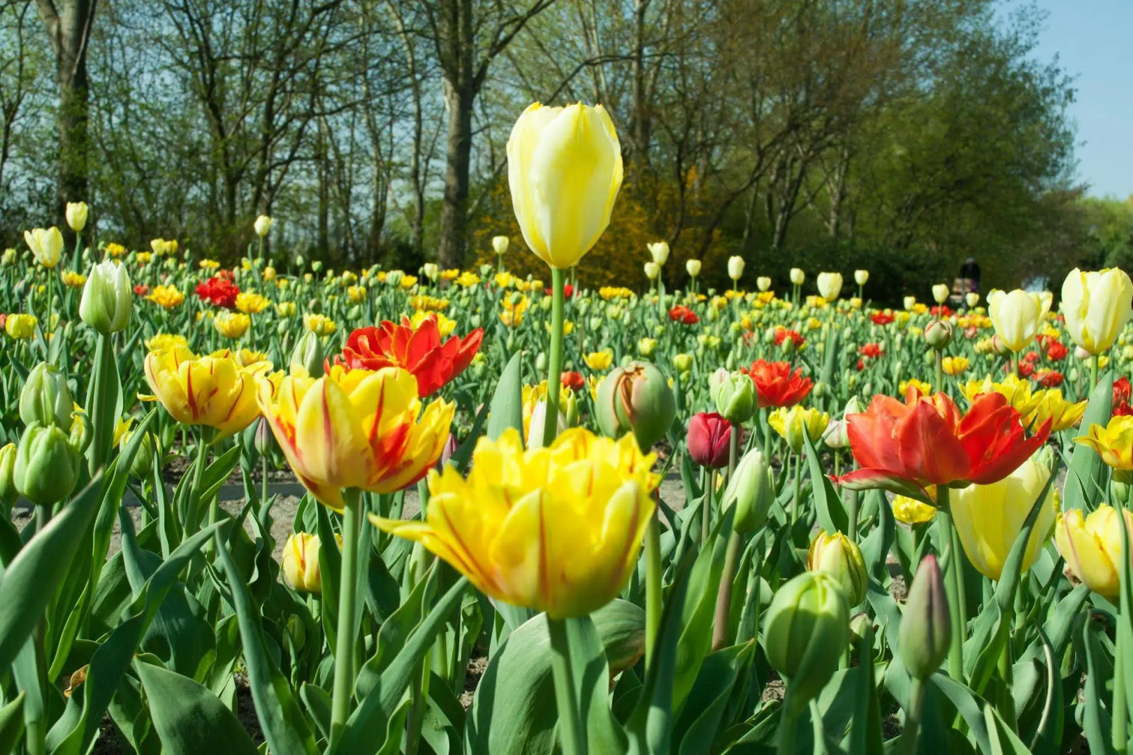 Foto - Parkhotel Marzahn