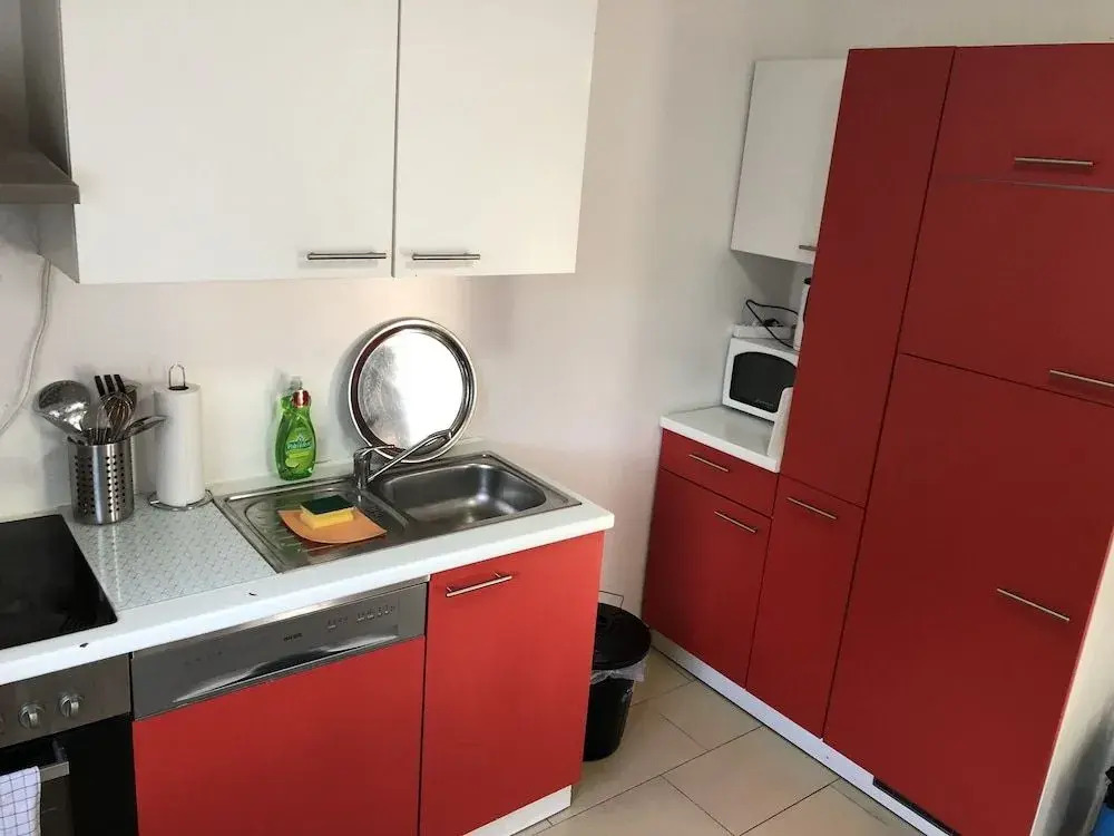 Photo - Sahara Falcon