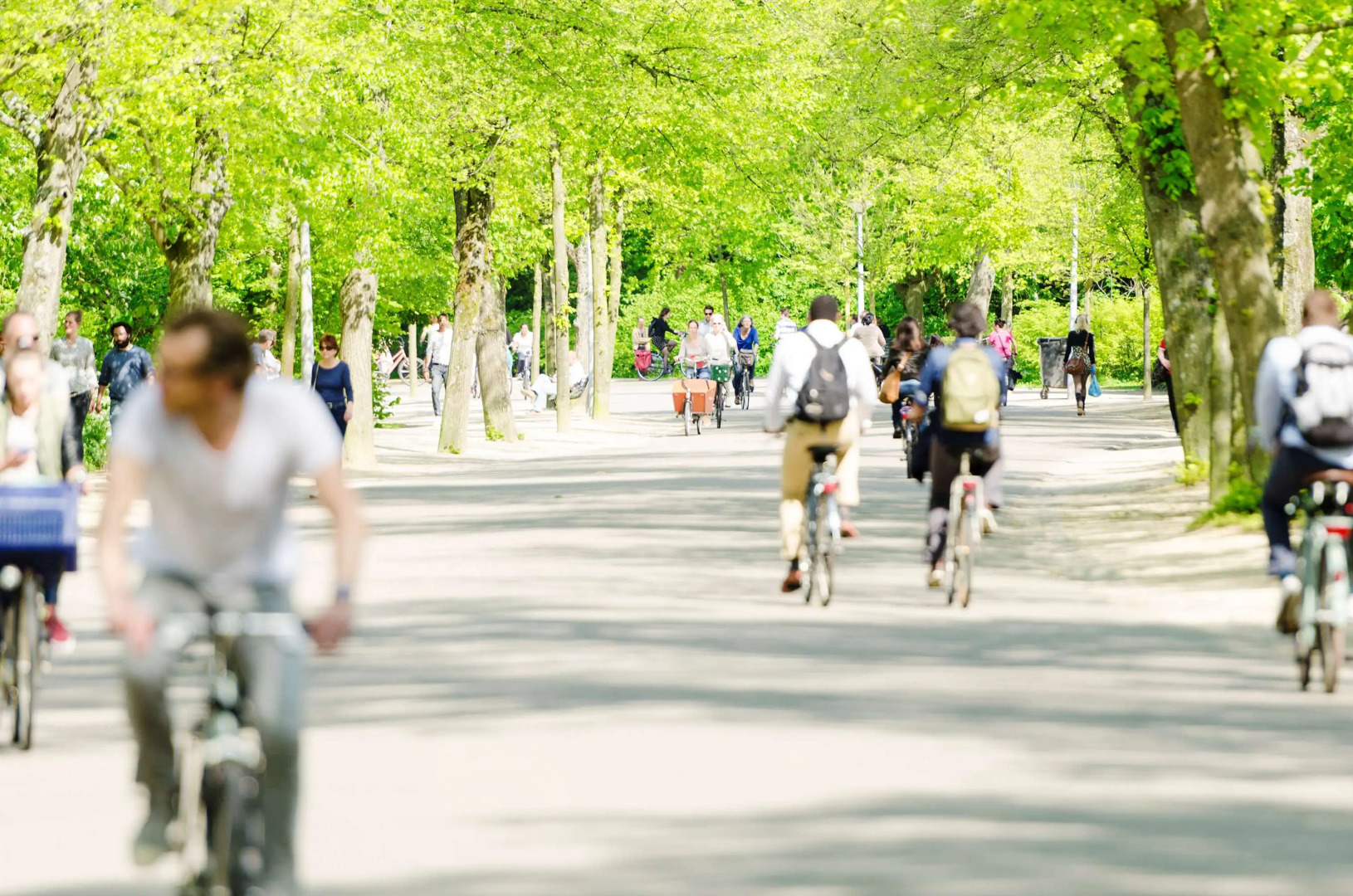 Foto - Hyatt Regency Amsterdam