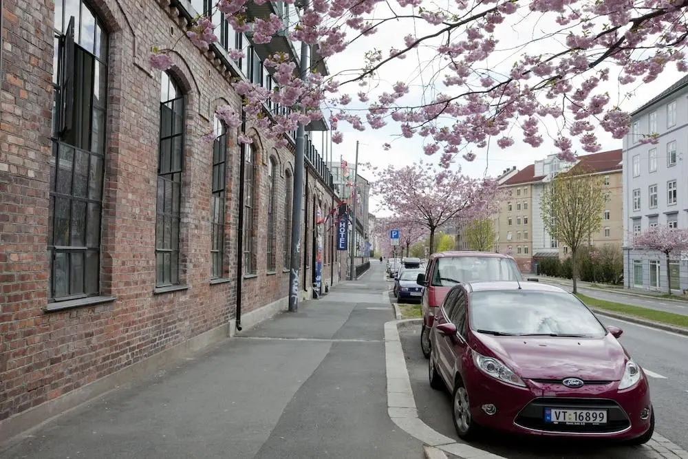 Photo - Central City Apartments