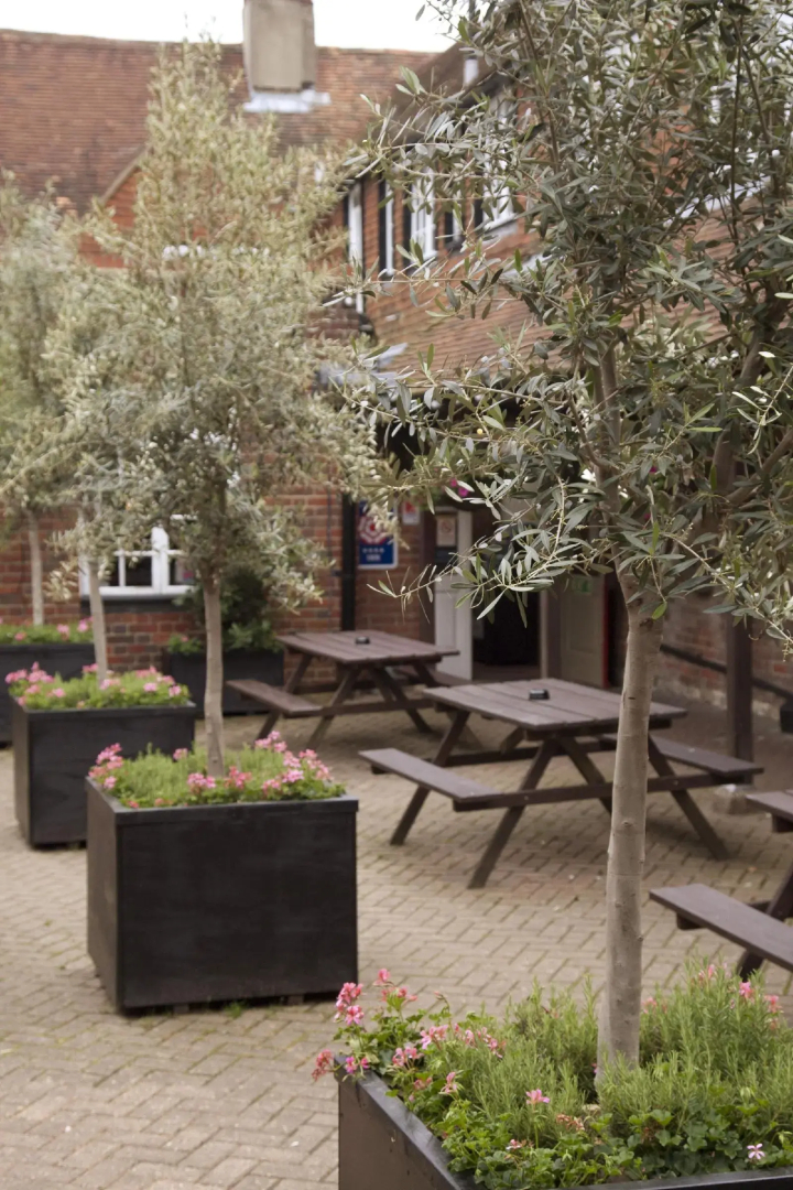 Foto - The Dog & Bear Hotel