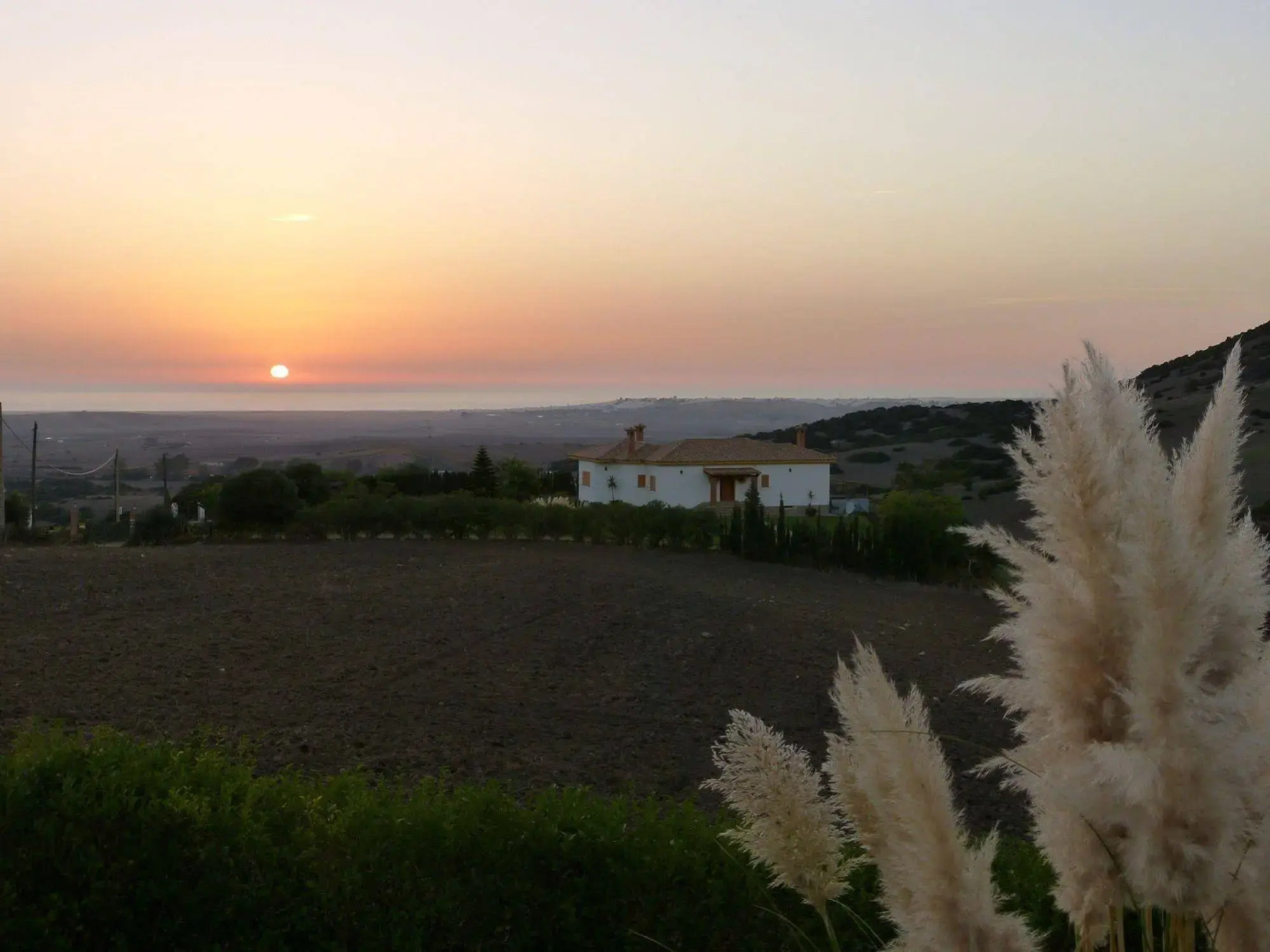 Foto - Hotel Sindhura