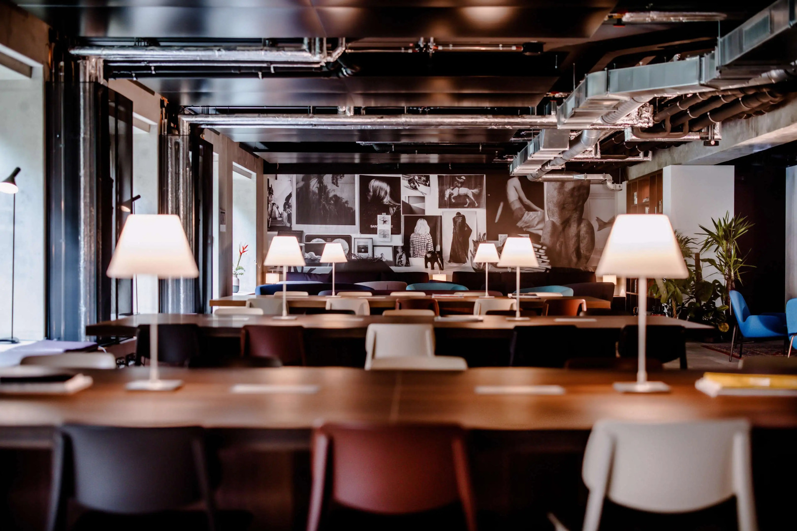 Foto - THE FLAG West M.