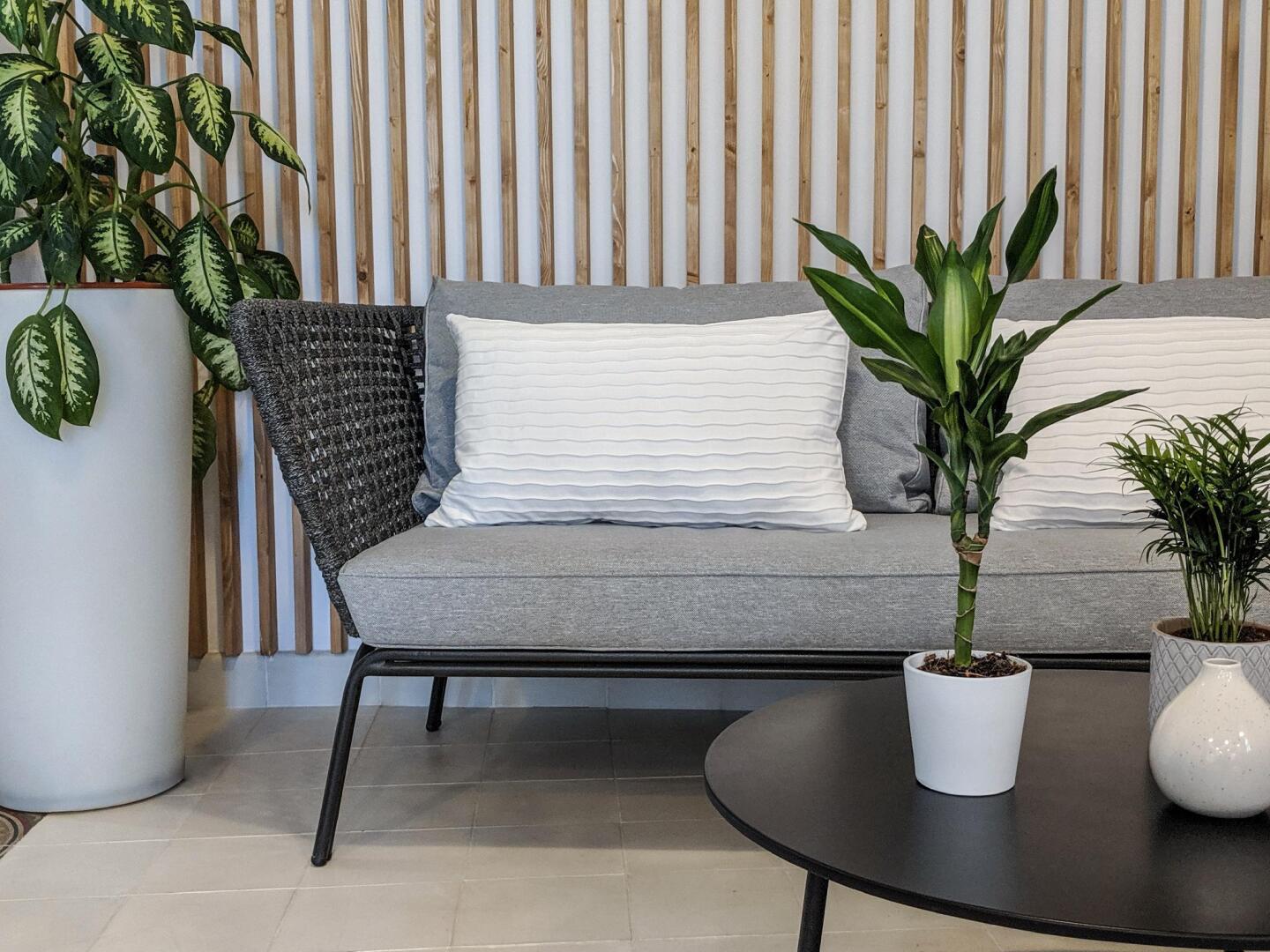 Photo - Original Domino House