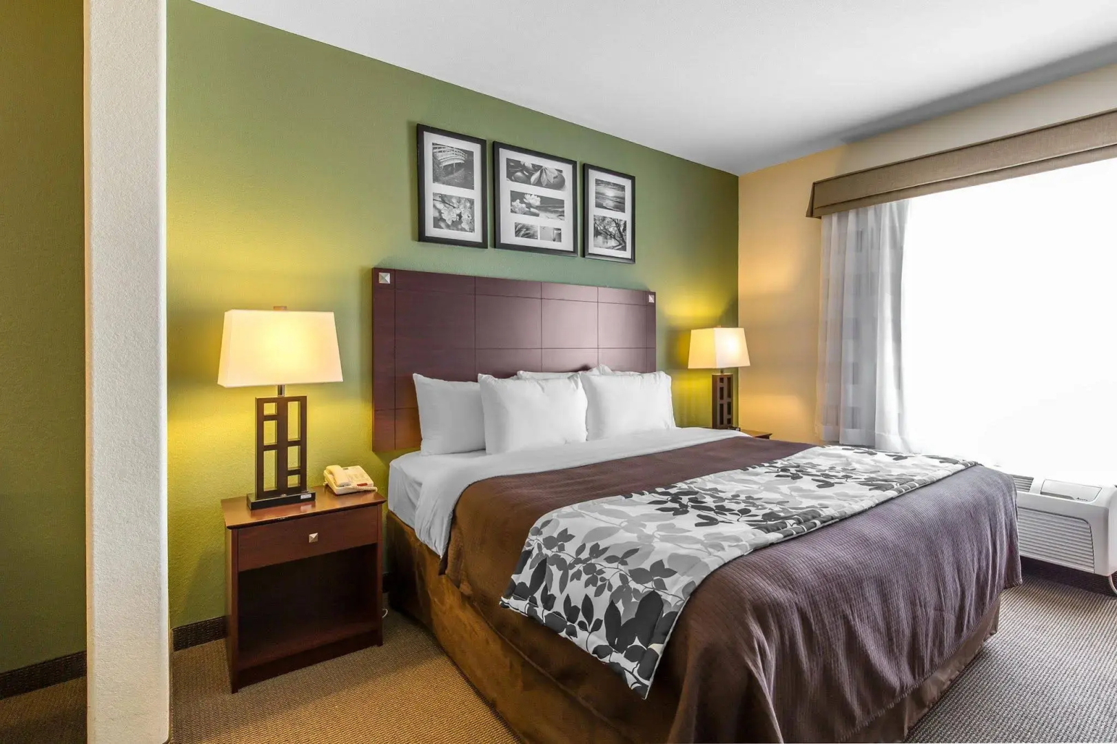 Foto - Sleep Inn & Suites Bush Intercontinental - IAH East