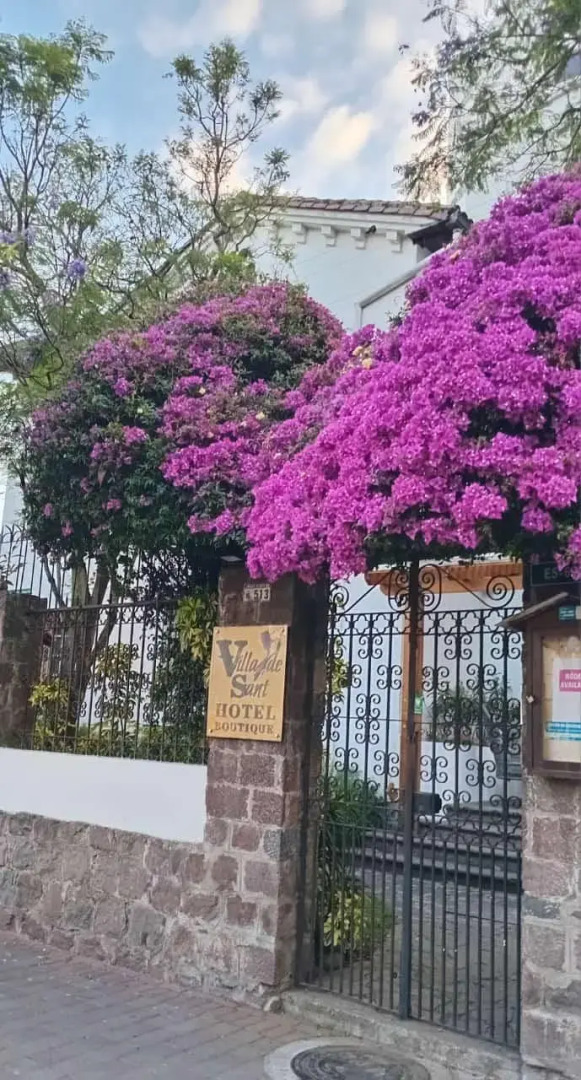 Foto - Hotel Boutique Villa de Sant